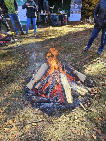 IMG-20251022-WA0023