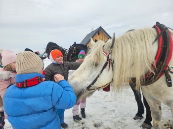 WhatsApp Image 2026-01-27 at 12.08.193.jpeg