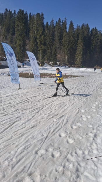 d562880d-4c34-4ed2-bf92-0daef4764450