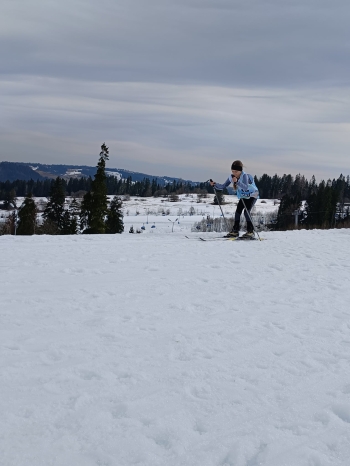 954cbdbd-7b62-4aae-99d7-e989902d6648