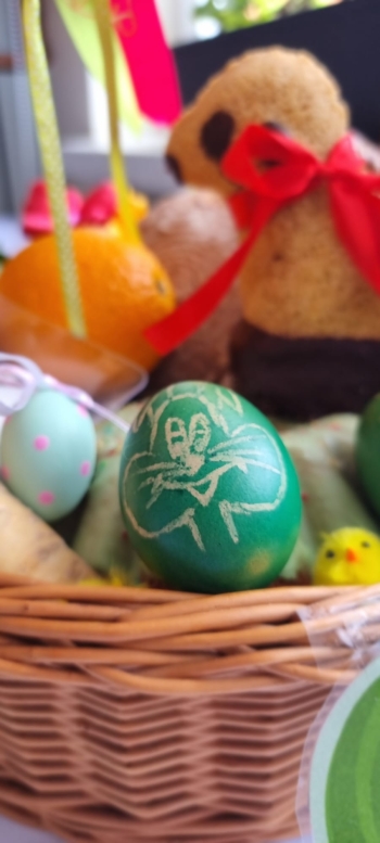 WhatsApp Image 2026-04-01 at 10.20.16 (1).jpeg