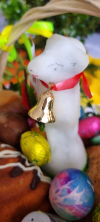 WhatsApp Image 2026-04-01 at 10.20.16 (2).jpeg