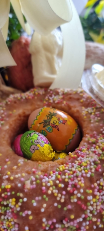 WhatsApp Image 2026-04-01 at 10.20.16 (3).jpeg