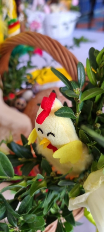 WhatsApp Image 2026-04-01 at 10.20.16 (4).jpeg