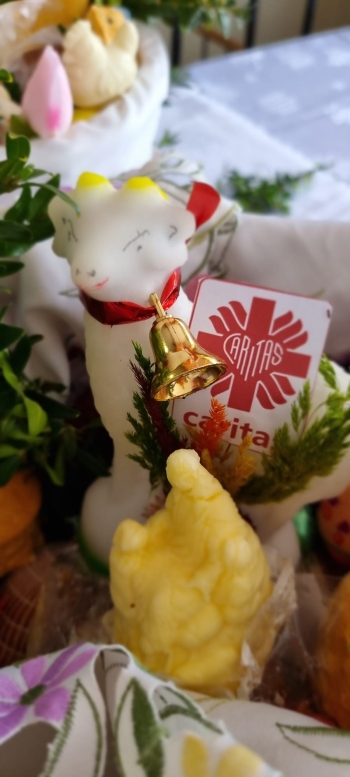 WhatsApp Image 2026-04-01 at 10.20.16 (6).jpeg