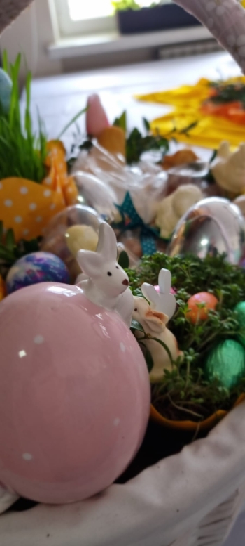 WhatsApp Image 2026-04-01 at 10.20.16 (7).jpeg