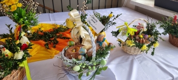 WhatsApp Image 2026-04-01 at 10.20.17 (8).jpeg